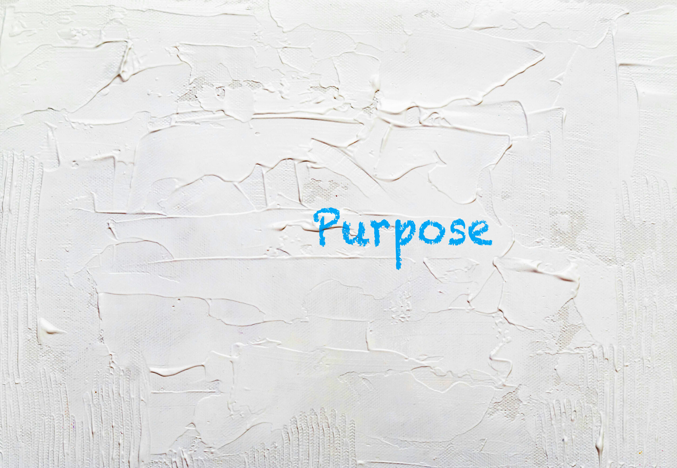 Purpose: Mit Sinn und Zweck zum Erfolg